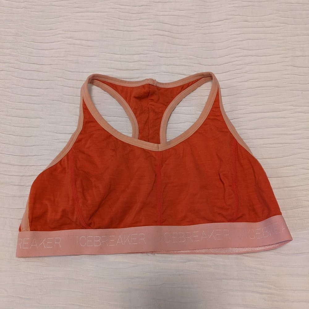 Icebreaker wool sports bra